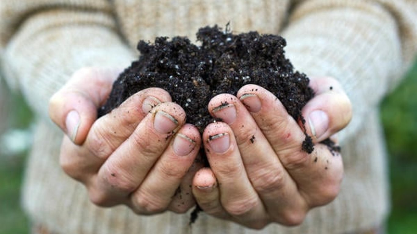 Jaka gleba zabija rozsady w tydzień: porady agronomów dotyczące wyboru