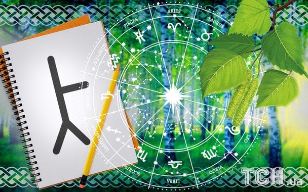 Celtycki horoskop na 6 grudnia: które drzewo-opiekun należy do twojego znaku
