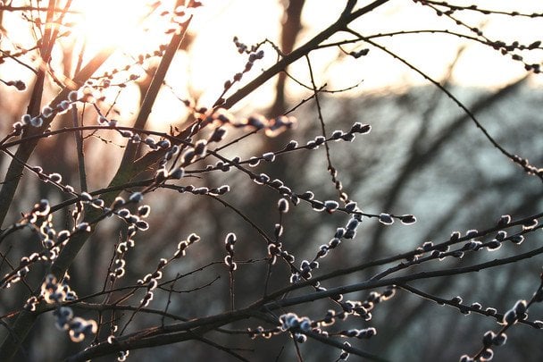Napływ chłodnego powietrza ze Skandynawii nad Ukrainę: prognoza na 30 marca