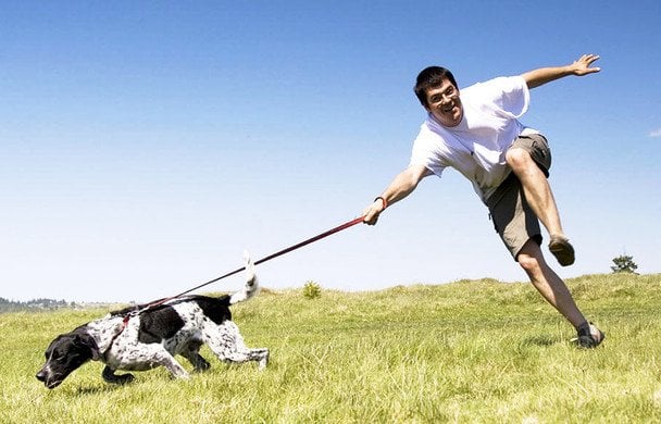 Spacer bez szarpania: skuteczna metoda zmiany kierunku dla poskromienia psa
