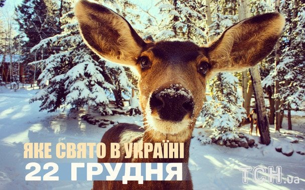 Свята України у воєнний час