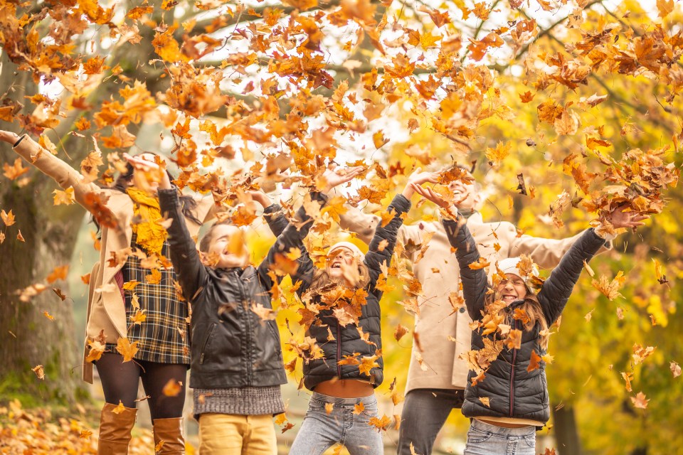 Wie man Kinder von Bildschirmen ablenkt: 5 Wege für herbstliche Abenteuer im Freien