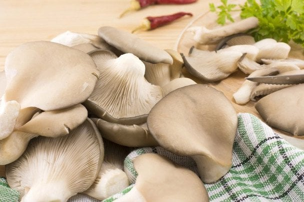 Jak przygotować grzyby boczniaki: 4 smaczne przepisy i przydatne porady