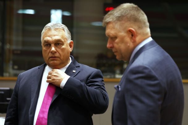 Угорщина і Словаччина оскаржують заборону