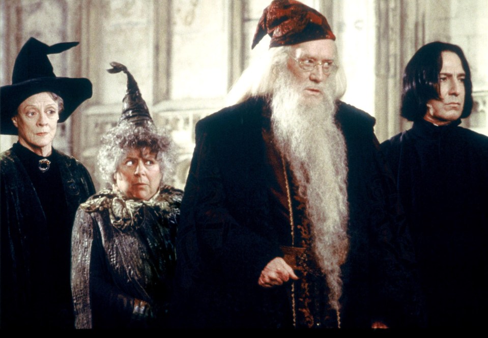 Harry Potter Star on Euthanasia: Please Help Me Out If It Happens