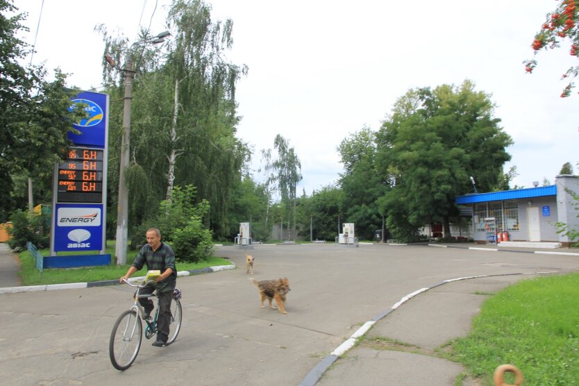 Ціни на паливо в Україні пішли на спад: на якому виді економлять водії