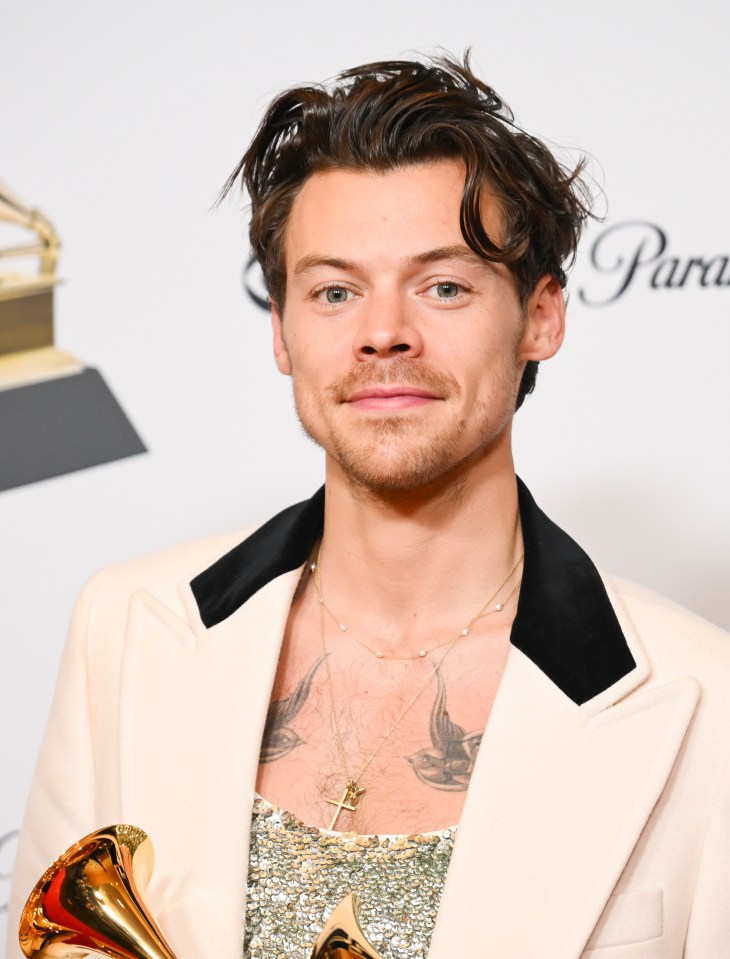 Harry Styles is building a mega-mansion in London: neighbors concerned about loss of light