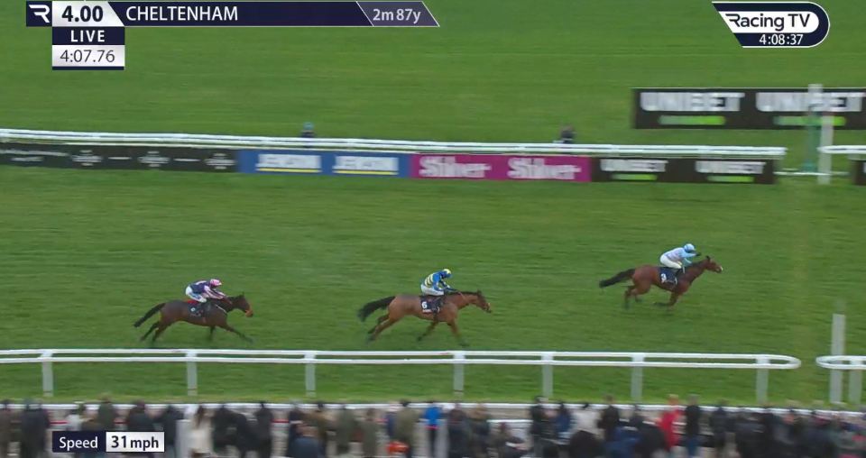 Переможець Cheltenham переїжджає до Віллі Маллінза: що це за кінь