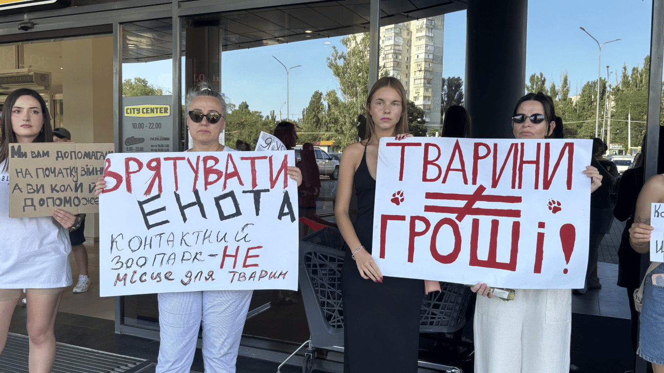 W Odessie wybuchł skandal z powodu jenota w zoo: dlaczego wolontariusze domagają się jego zabrania