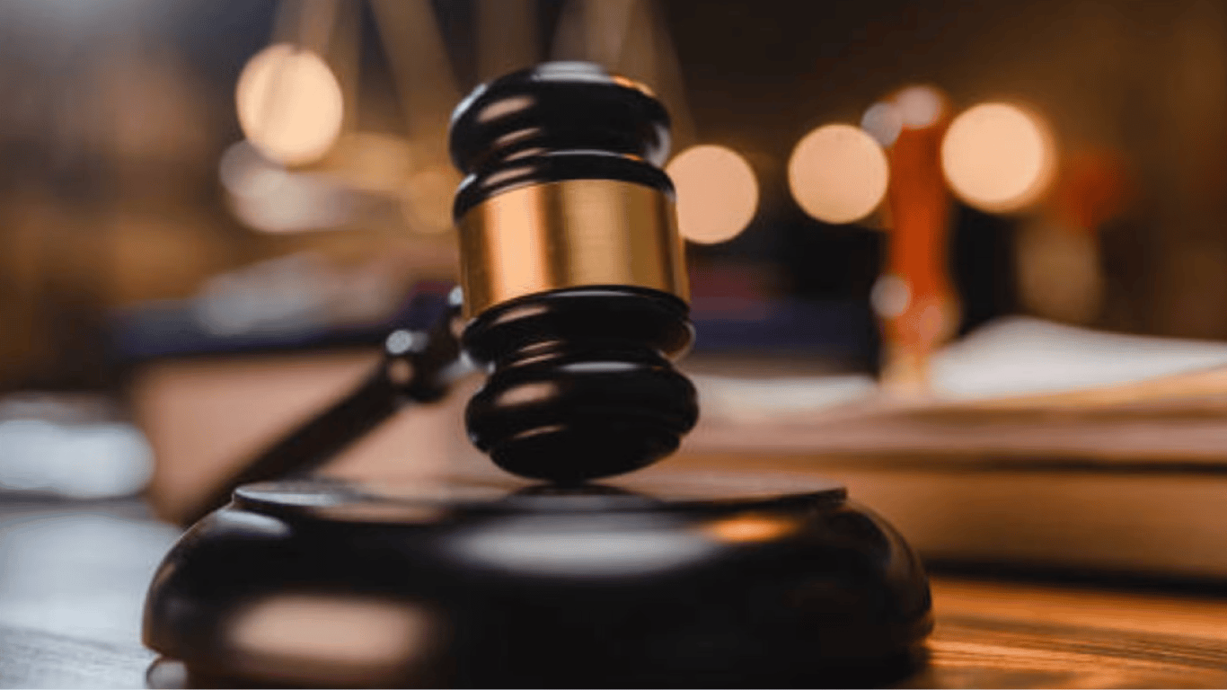 Ліси України оштрафували на 3,3 млн гривень: за що покарали держпідприємство