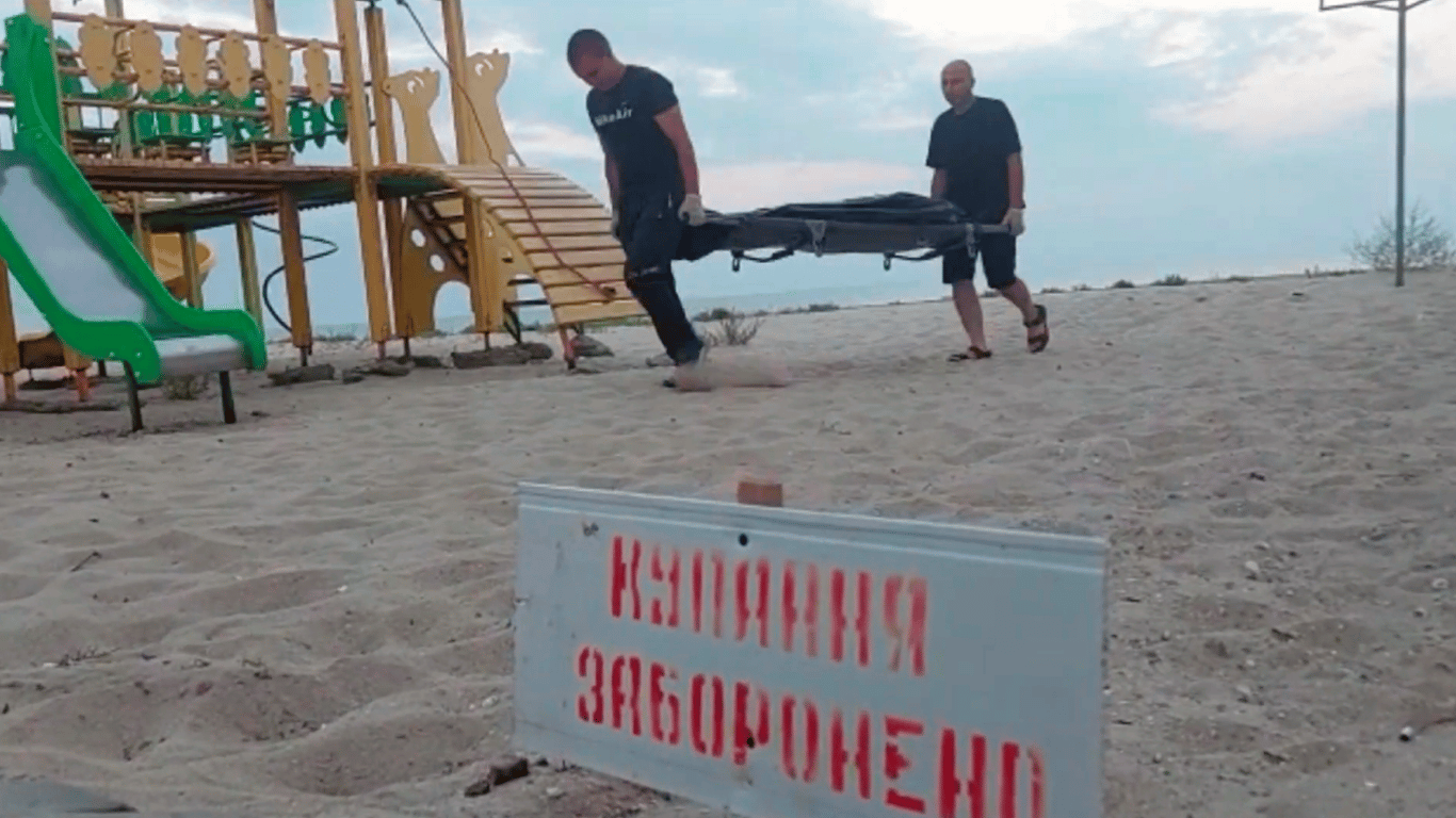 Трое погибших на Одесщине: что известно о подрывах на минах в запрещенных зонах