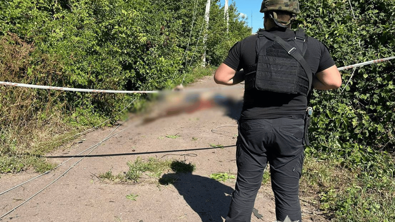 Російські дрони вбили цивільного на Чернігівщині: подробиці атаки
