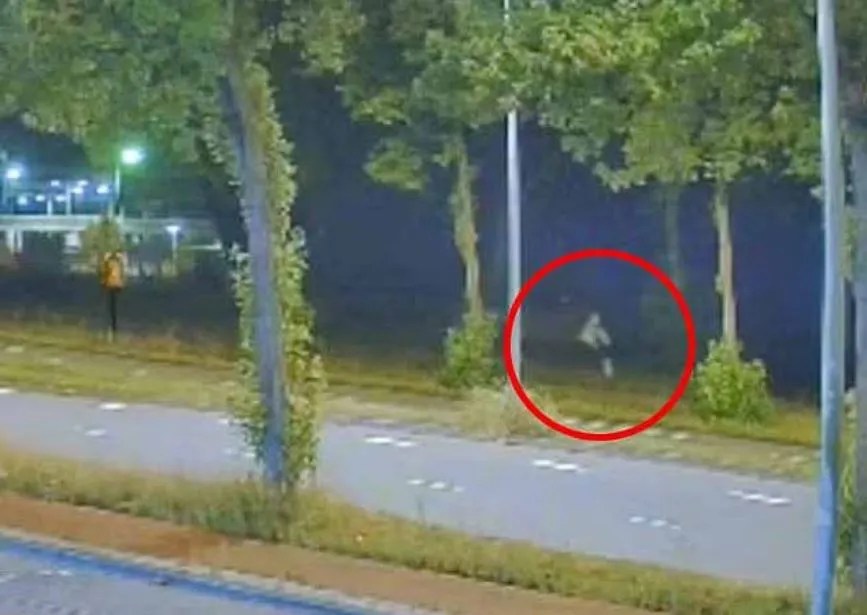 Вбивство 17-річної Ліси в Амстердамі: як злочин мігранта розколов Нідерланди