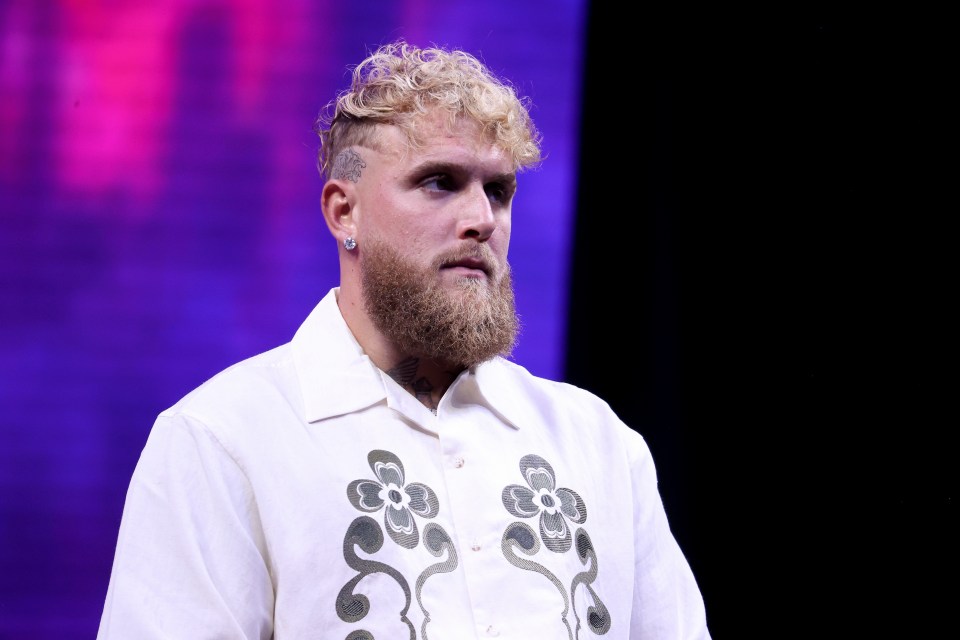 Shakur Stevenson will help Jake Paul prepare for the fight against Davis: details