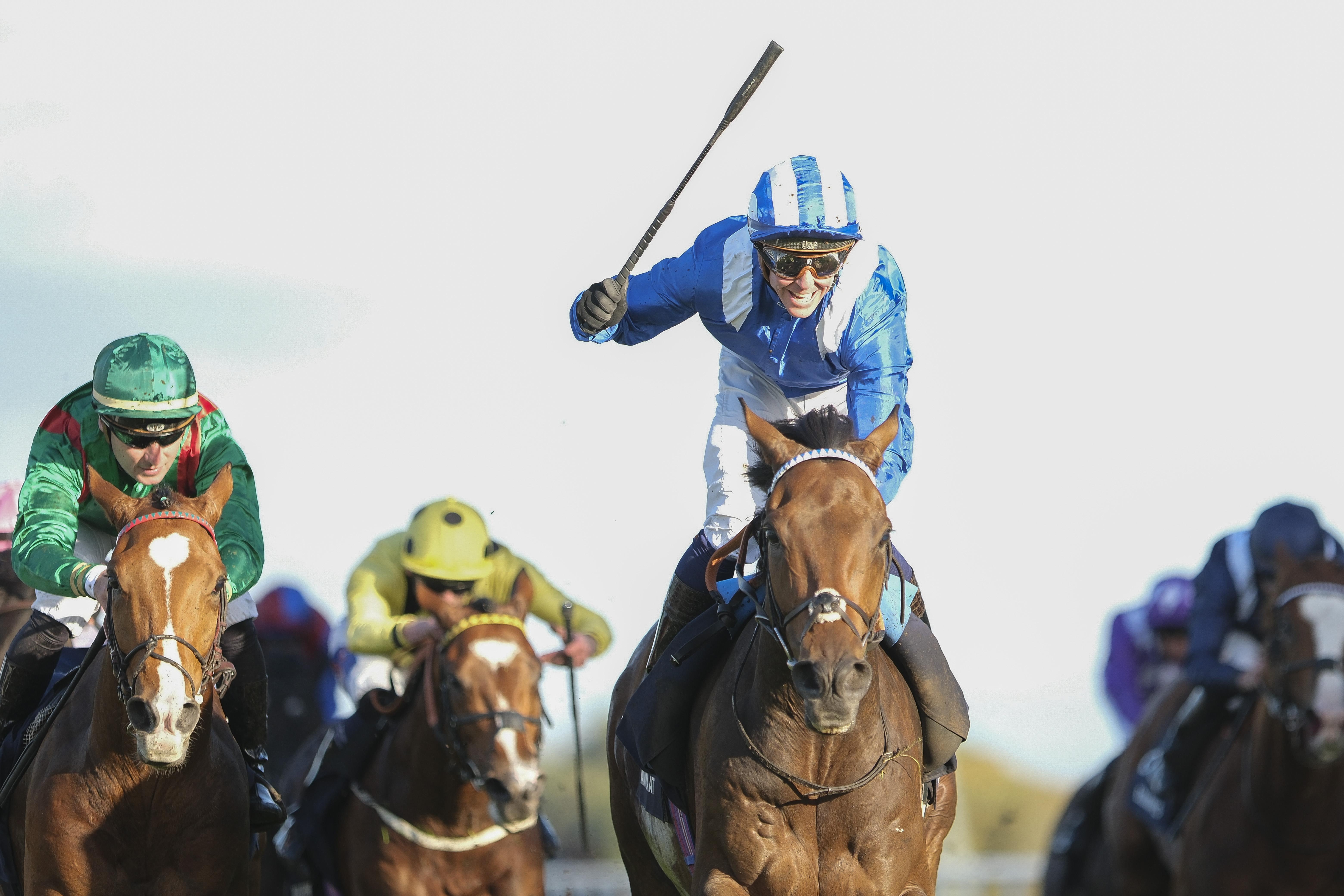 Світовий пул на Royal Ascot: як отримати вигоду від міжнародних ставок