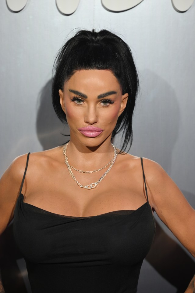 Katie Price on the charts revenge: how music became payback to Peter Andre