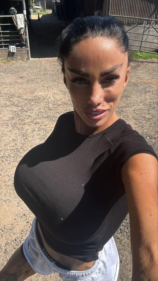 Katie Price Under the Knife Again: Impressionist Mocks Star's New Surgery