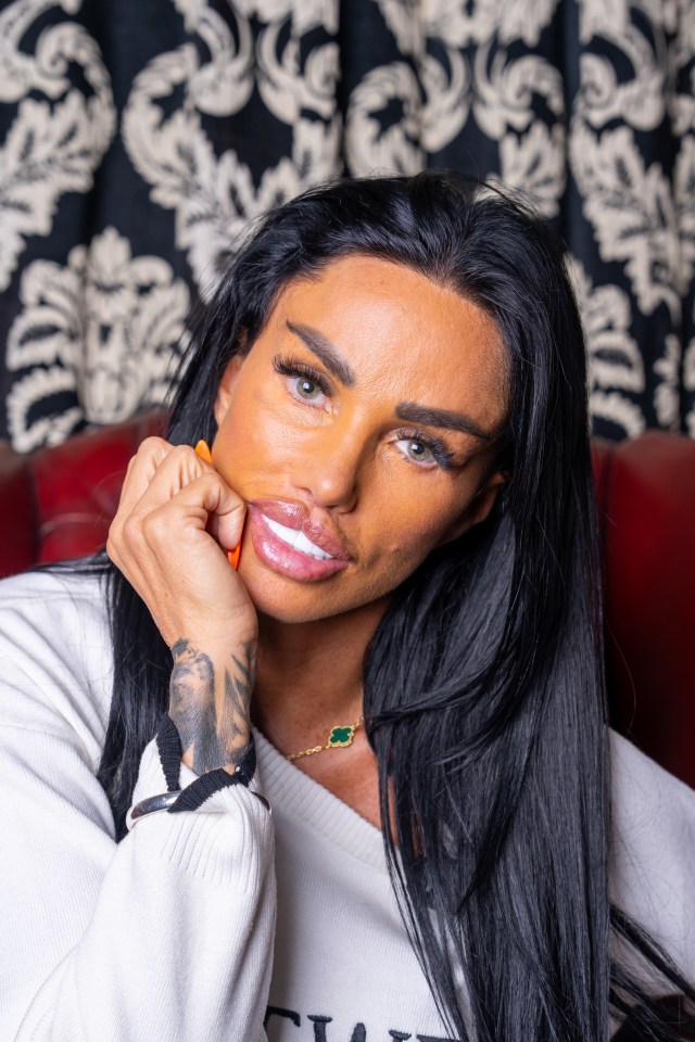 Katie Price cancels performance at Pride event again: organizers criticize the star