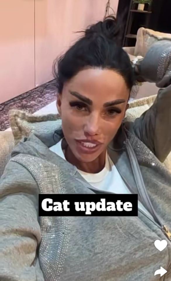 Katie Price's newborn kittens were taken to the vet in critical condition