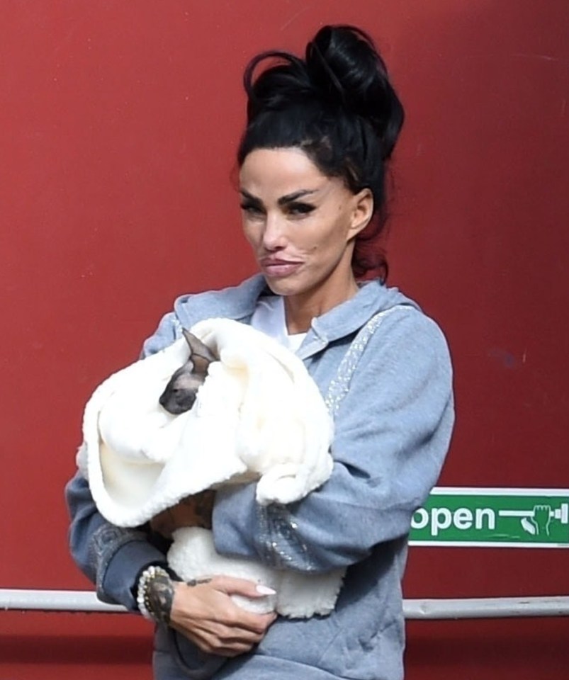 Katie Price's kittens hospitalized urgently: the condition of the newborns raises concerns