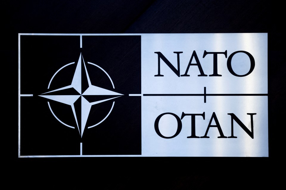 НАТО замінює слово авіатори: які терміни тепер під забороною