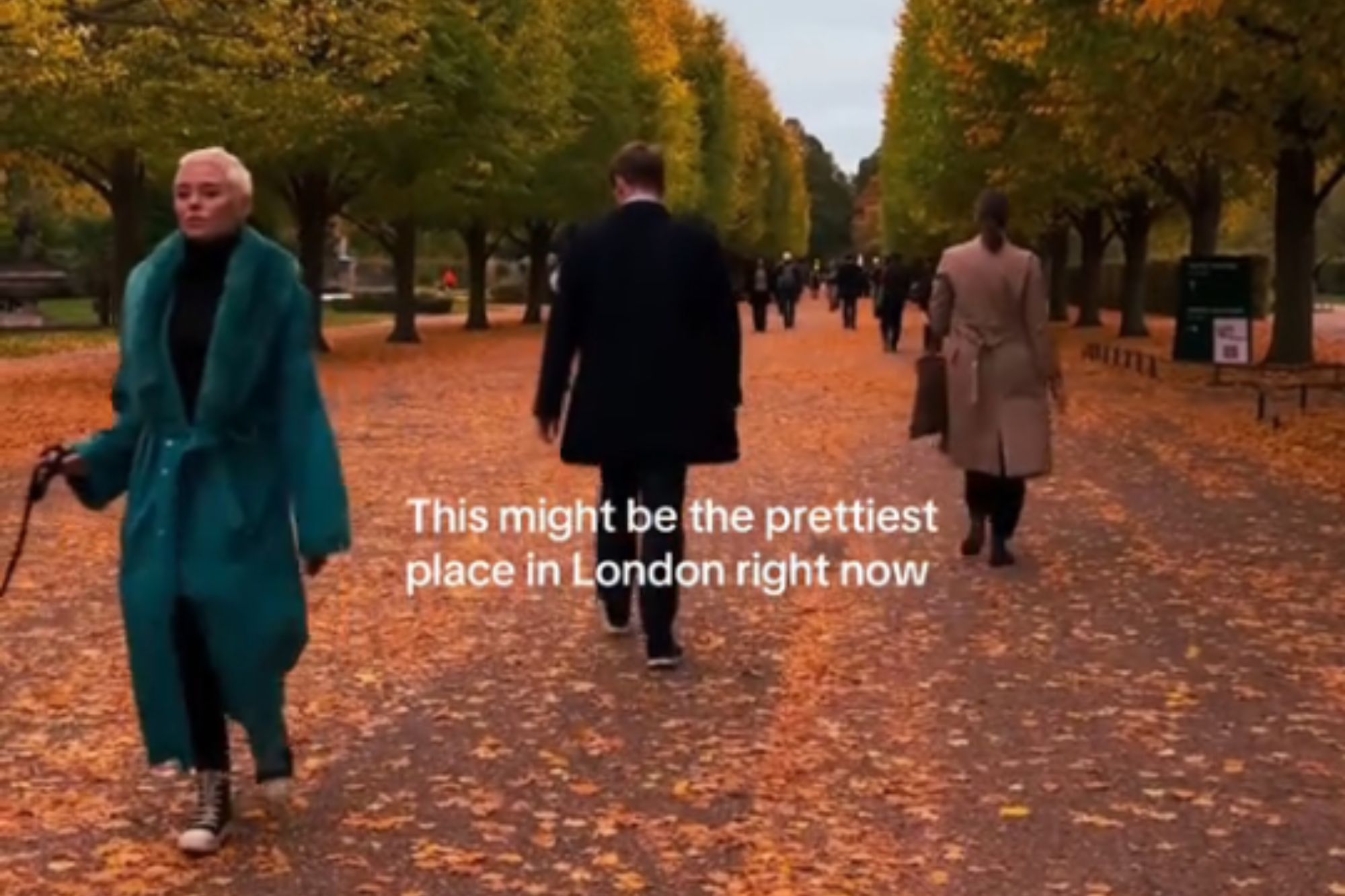 Unexpected Appearance of Horror Movie Star on TikTok: Who Was Spotted in London