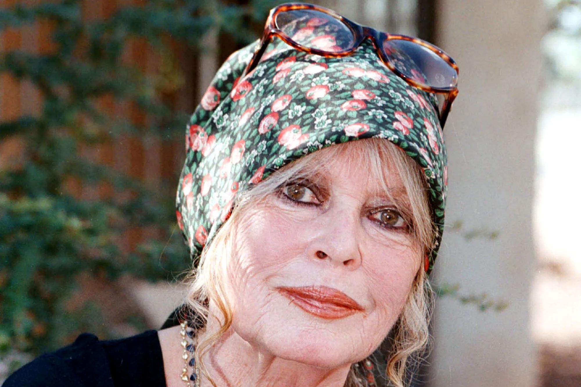 Brigitte Bardot in her final address