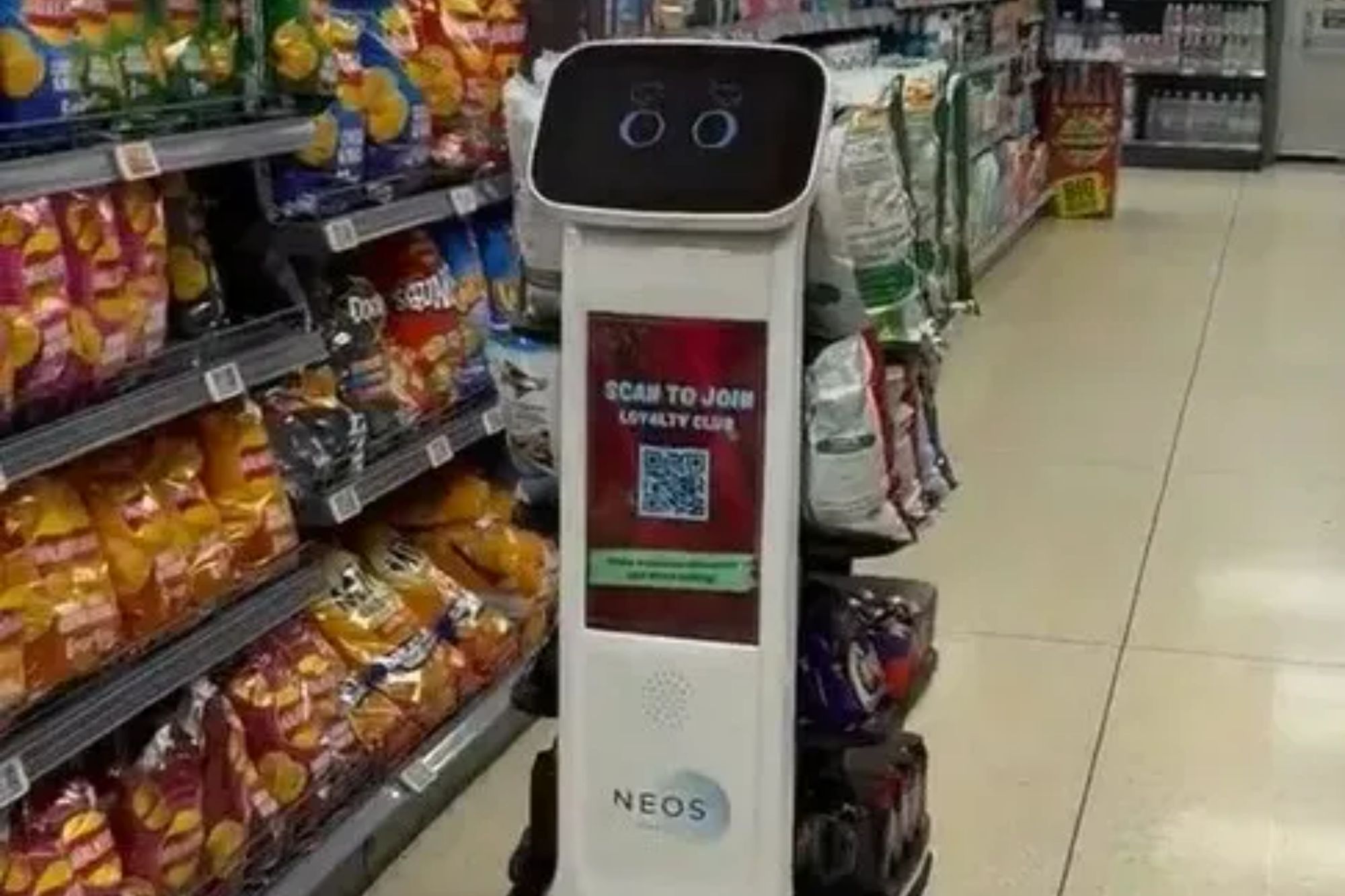 Helper robots will appear in stores in Iceland: what they can do