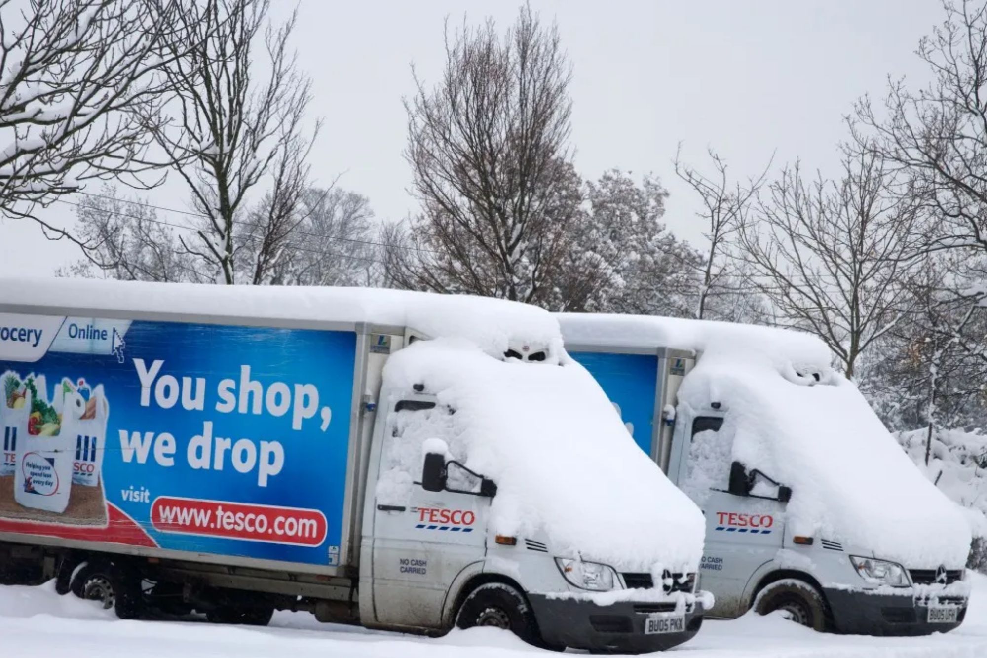 TESCO открывает бронирование доставки на Рождество: детали для украинцев