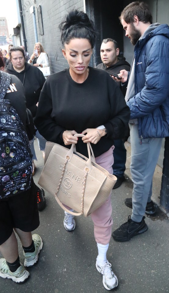 Katie Price's Kittens in Critical Condition: What is Known About the Pets' Condition