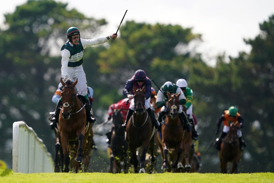 Два фаворити Cesarewitch: експерт розклав ставки на переможців