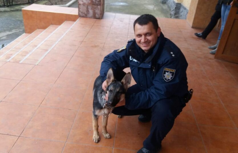 Колишній поліцейський, який заступився за ветерана, отримав повістку в Ужгороді
