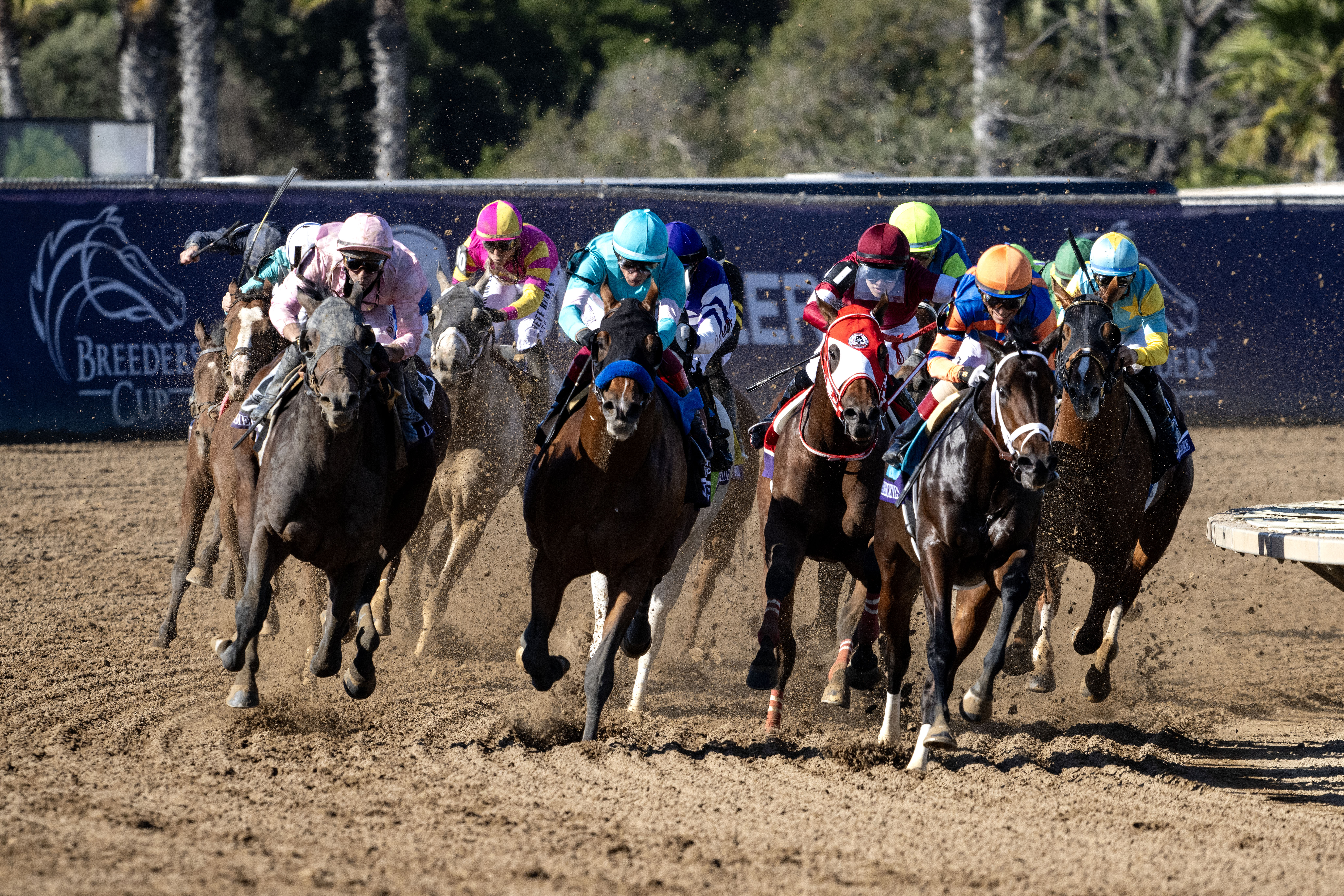 Українські вершники вперше в історії беруть участь у Breeders' Cup: подробиці
