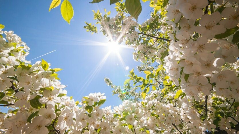 Nur ein einziger Tag Freizeit bringt den Ukrainern trockenes Wetter