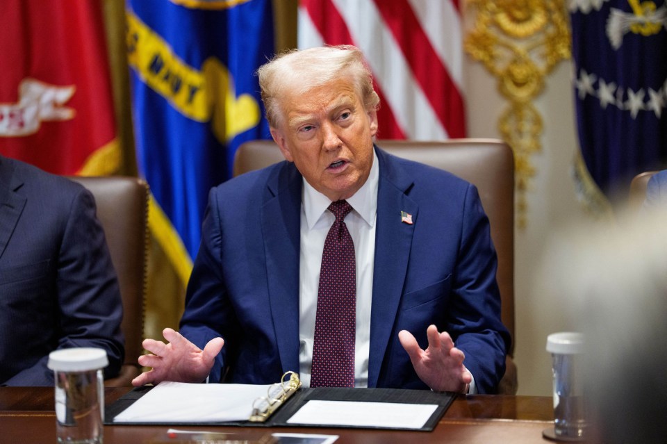 Розвідка Данії розкрила план Трампа щодо Гренландії: що відомо про операцію США