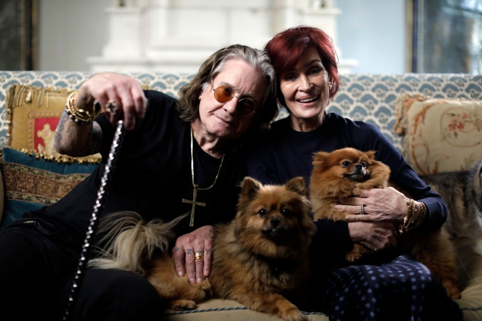 Ozzy Osbourne przed śmiercią o Sting: Przynajmniej nie byłem nim