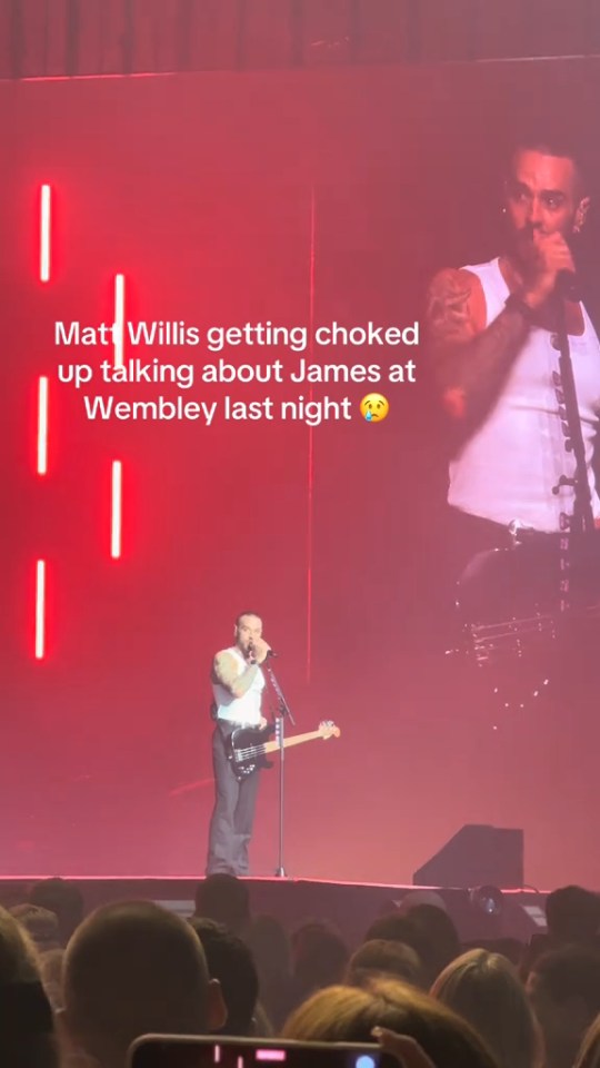 Busted member forced to leave tour due to illness: who will replace him on stage